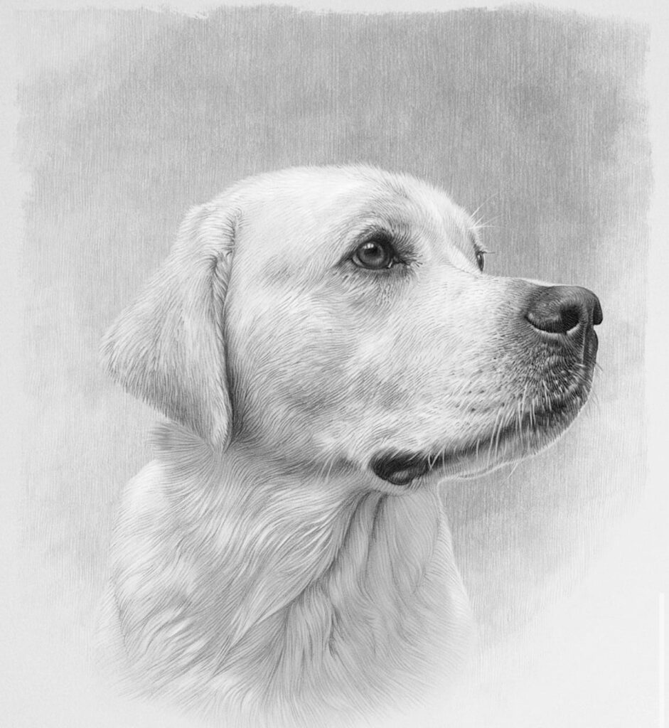 pet art Services